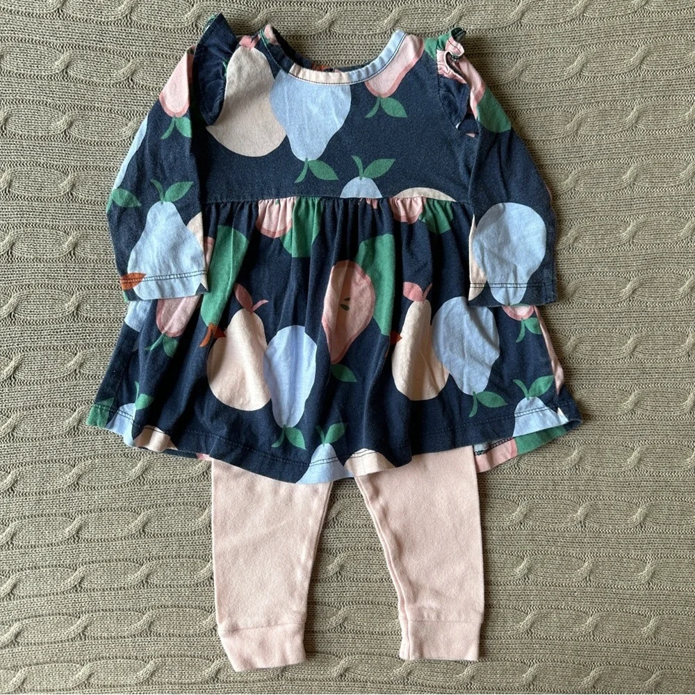 EUC Carter’s Baby Girl Outfit Set, Pink & Blue Pear, 9 Months